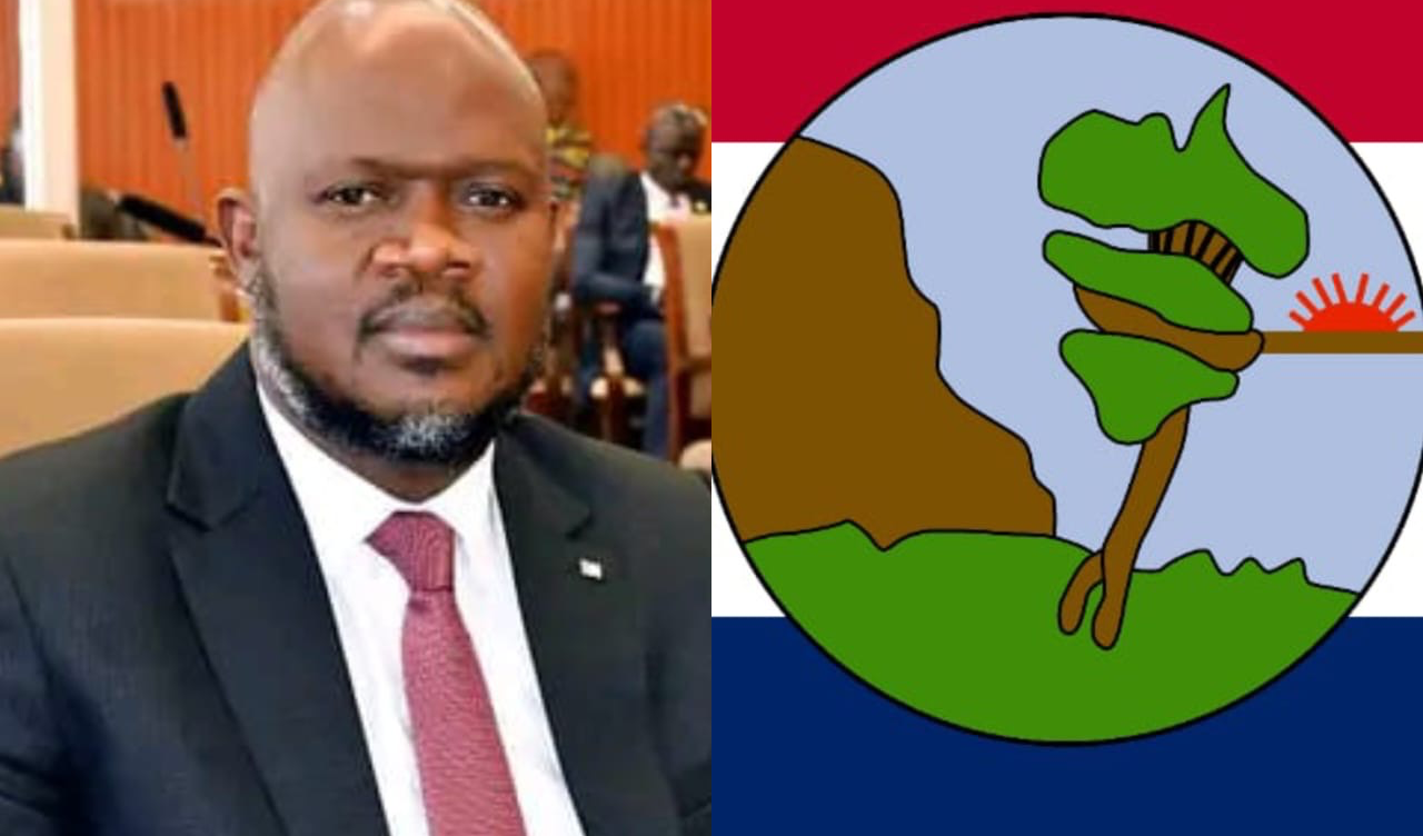 House of Representatives Approve Nine New Townships In Nimba County